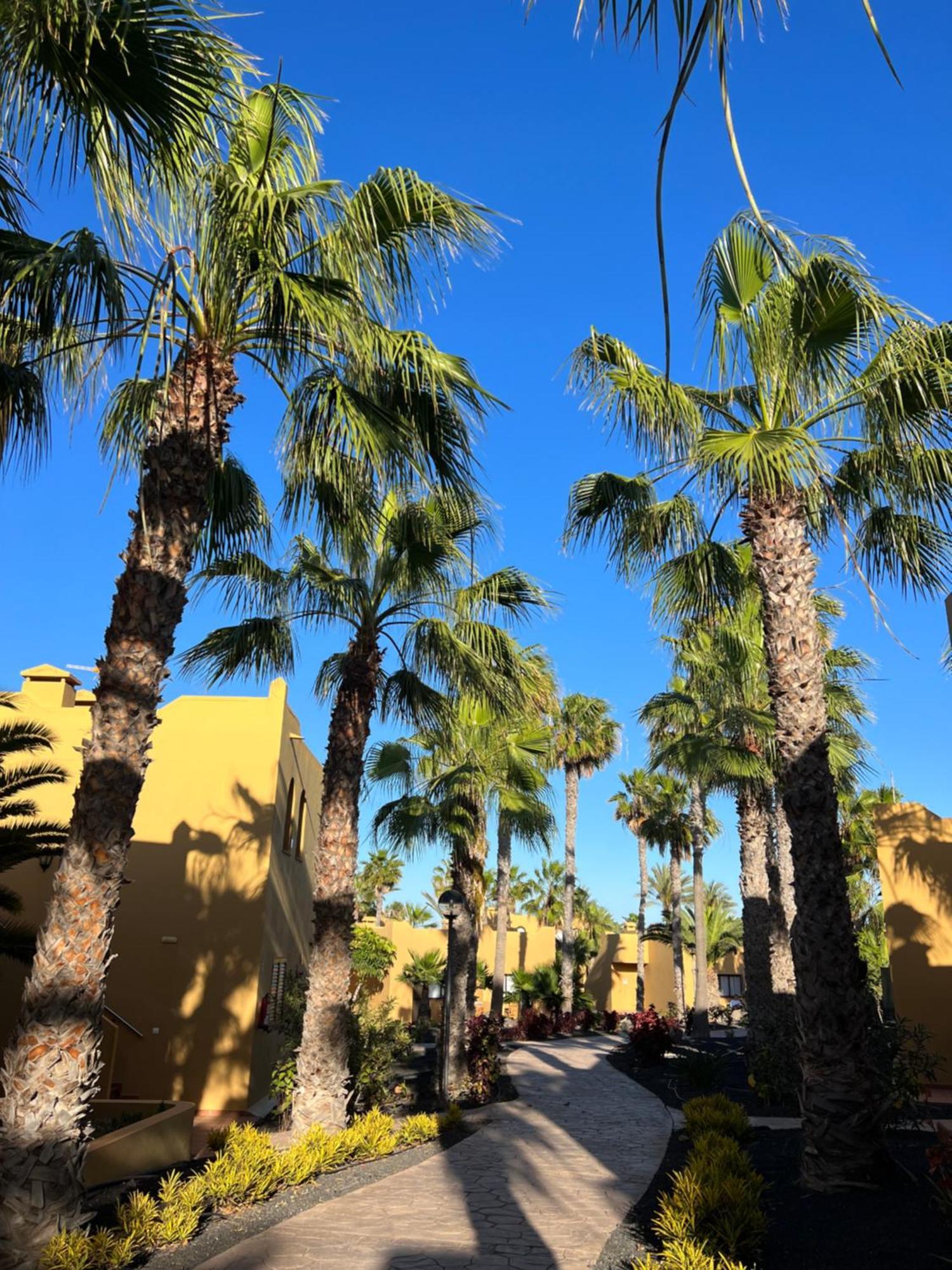 Ferienwohnung Casa De Leon Corralejo Exterior foto