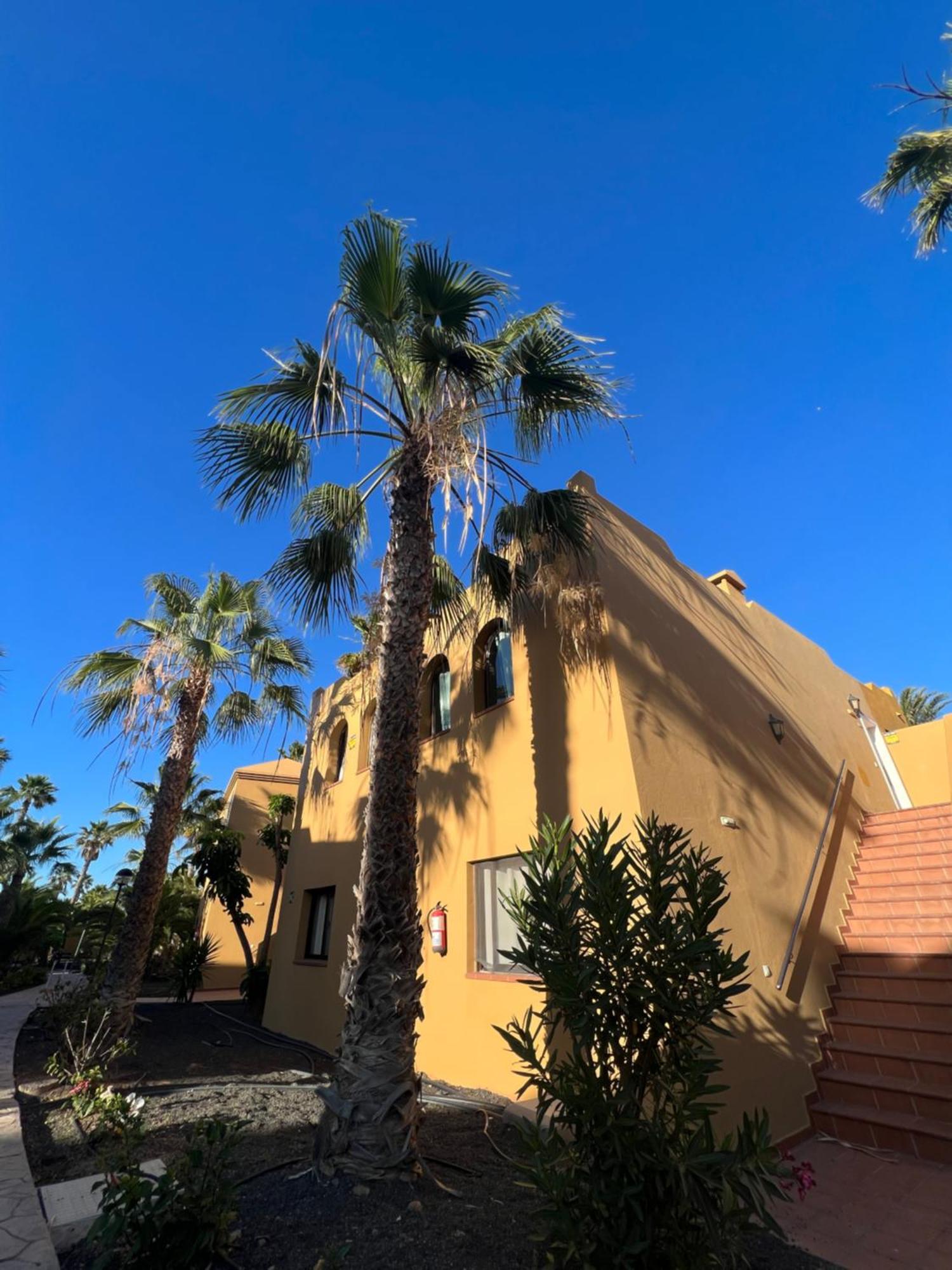 Ferienwohnung Casa De Leon Corralejo Exterior foto